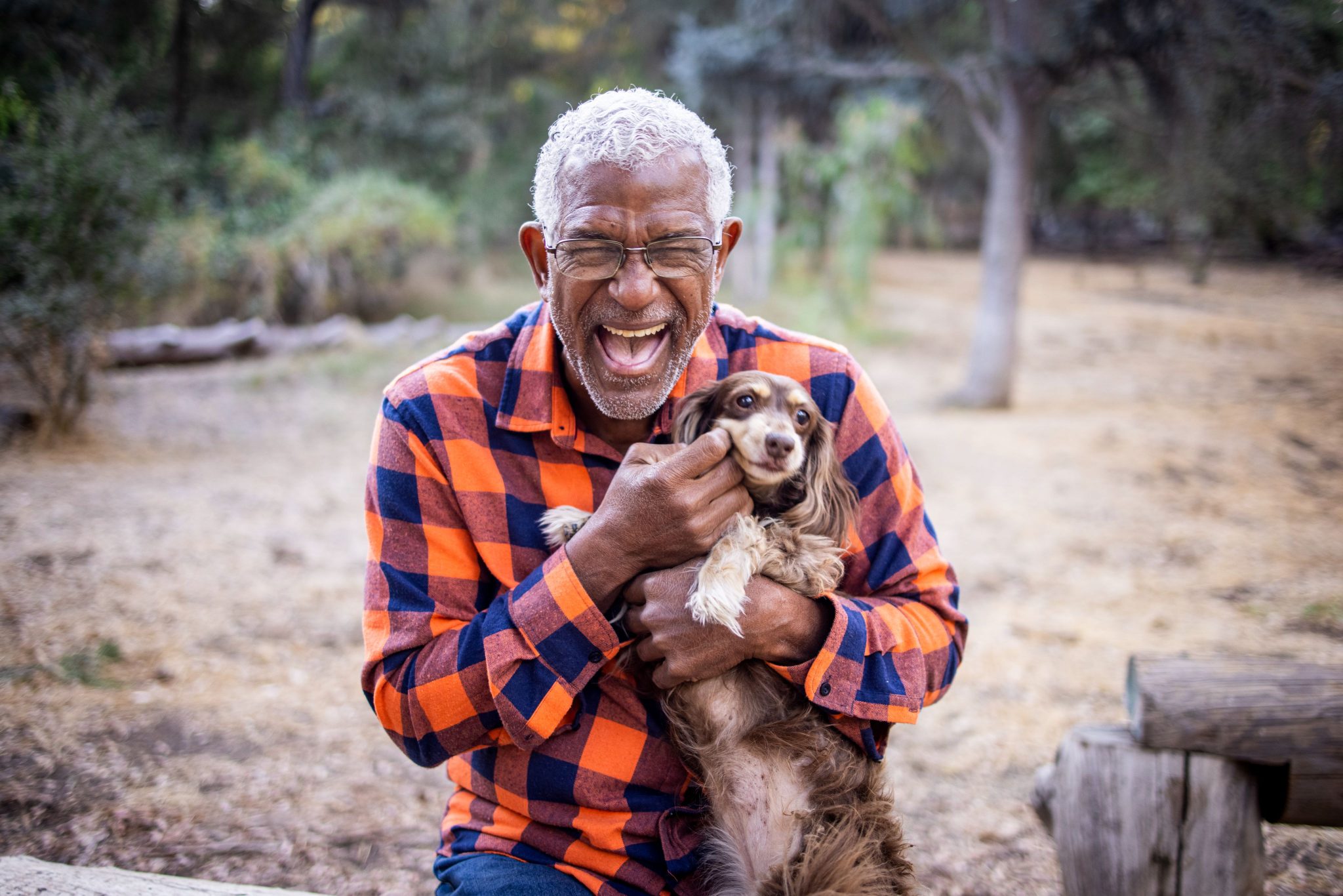 Good Pets For Older Adults